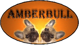 Amberbull