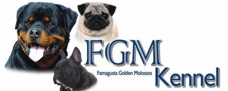 FGM Kennel