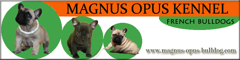 Magnus Opus Kennel